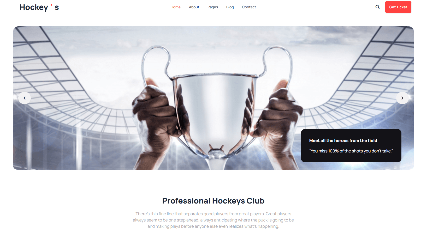 Hockeys project showcase